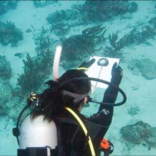 Underwater Navigator