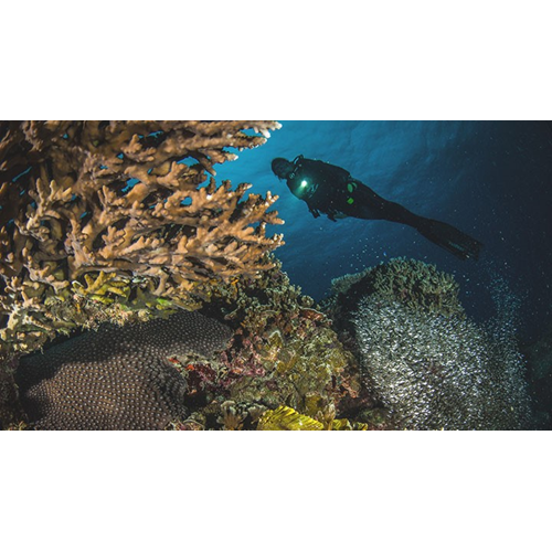 Limited Visibility / Night Diver